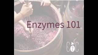 Enzymes 101 with Fermentation Technical Expert Darren Michaels