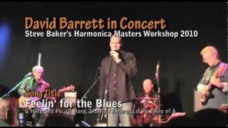 Feelin for the Blues  David Barrett Live at Steve Bakers Harmonica Masters Workshop