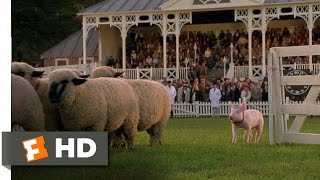 Babe 89 Movie CLIP  The Sheep Pig 1995 HD