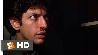 Invasion of the Body Snatchers 212 Movie CLIP  Examining a Pod Body 1978 HD