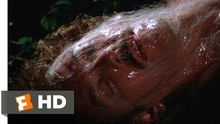 Invasion of the Body Snatchers 712 Movie CLIP  Escaping the Pod People 1978 HD