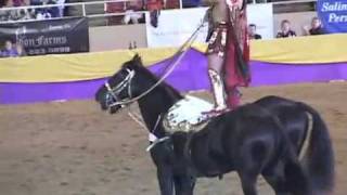 Tad Griffith Roman Riding at the Fiesta of the Horse