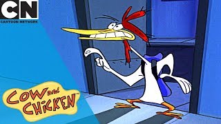 Cow and Chicken  Becoming Rich and Famous  Cartoon Network