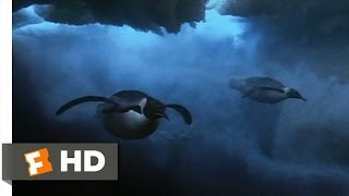 March of the Penguins 24 Movie CLIP  Life Under the Sea 2005 HD