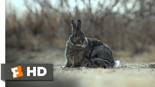 Rubber 310 Movie CLIP  Boom Goes the Bunny 2010 HD