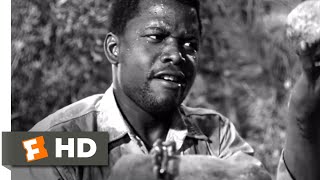 The Defiant Ones 1958  North vs South Scene 19  Movieclips