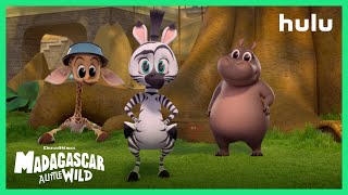 Madagascar A Little Wild Season 2 Trailer Official  A Hulu Original