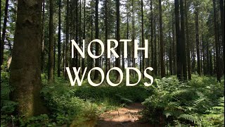 Daniel Mason introduces North Woods