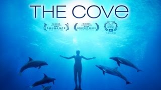 The Cove  Film Trailer  Participant Media