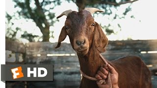 Our Family Wedding 33 Movie CLIP  Goat on Viagra 2010 HD