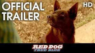 RED DOG True Blue 2016 Teaser Trailer HD