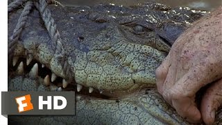 The Crocodile Hunter Collision Course 910 Movie CLIP  Smart Croc 2002 HD