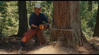 Wood Job 2014  Japanese Movie Review