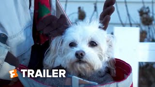 Charlies Christmas Wish Trailer 1 2020  Fandango Family