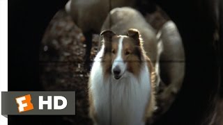 Lassie 89 Movie CLIP  They Are Not Your Sheep 1994 HD