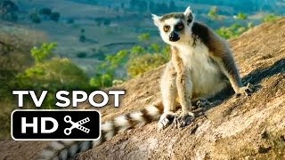 Island of Lemurs Madagascar TV SPOT 1 2014  Nature Documentary HD