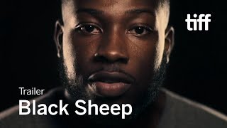 BLACK SHEEP Trailer