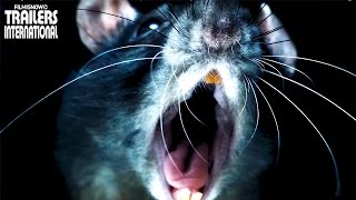 RATS Trailer  Morgan Spurlocks horrifying creature documentary