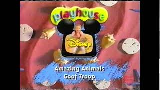 Playhouse Disney  Bumper  1999  Amazing Animals  Goof Troop  Disney Channel