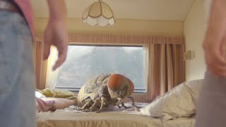 Mandibles First trailer for Quentin Dupieuxs giant fly comedy exclusive