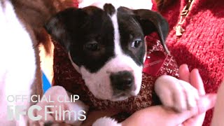 Dear Santa Elves Official Clip  HD  IFC Films