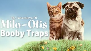 The Adventures of Milo and Otis Booby Traps Montage Music Video