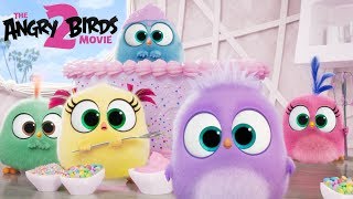 THE ANGRY BIRDS MOVIE 2  Happy Mothers Day from the Hatchlings