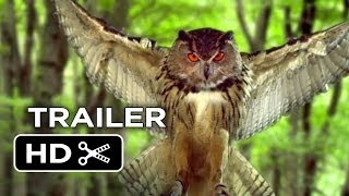 Mysteries of the Unseen World TRAILER 1 2013  Nature Documentary HD