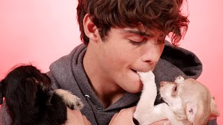 Noah Centineo Plays With Puppies While Answering Fan Questions