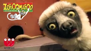 Zoboomafoo  Lemur meets slithering snakes  Episode Animals for Kids