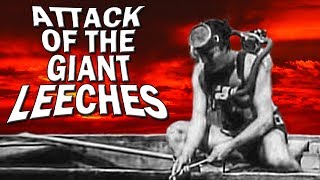 Dark Corners  Attack of the Giant Leeches Review