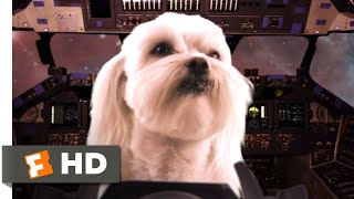 Star Paws 2016  Cat  Dog Fight Scene 310  Movieclips