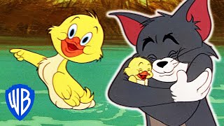 Tom  Jerry  Best of Little Quacker  Classic Cartoon Compilation  WB Kids
