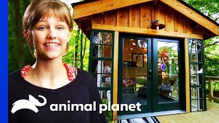Grace VanderWaal Gets The Ultimate Chilled Out Clubhouse  Treehouse Masters