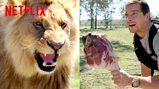 Bear Grylls Chased by a Lion  Animals on the Loose A You vs Wild Movie  Netflix After School