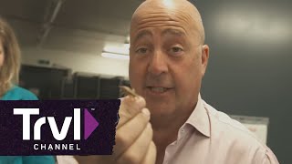 Andrew Zimmern Eats InsectFilled Nuggets  Bizarre Foods with Andrew Zimmern  Travel Channel