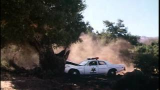 Henry Kingi Vs An Oak Tree