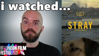 Stray 2020 Review