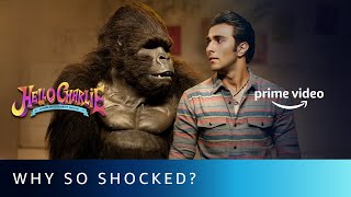 Hello Charlie  Why So Shocked  Aadar Jain Jackie Shroff Shlokka Pandit  Amazon Prime Video