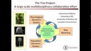 Janice Cooke  TRIA Project Introduction Genomics of the Mountain Pine Beetle System