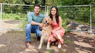 Lemonade Stand  Summer Favorites with Danica McKellar and Mark Deklin  Hallmark Channel