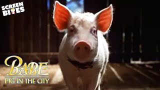 Babe Pig in the City 1998 Official Trailer  Screen Bites