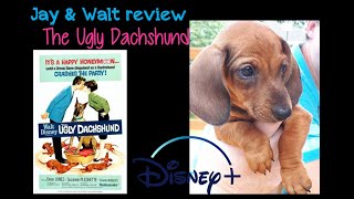 The Ugly Dachshund  a Disney Plus movie review by Jay and her mini Doxie Walt shorts movies