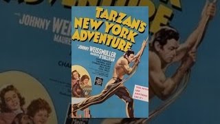 Tarzans New York Adventure