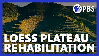 The Age of Nature  The Impact of the Loess Plateau Rehabilitation Project  Episode 1  PBS