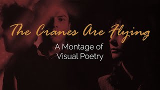 THE CRANES ARE FLYING Cinematography Montage  Inspiration for Filmmakers