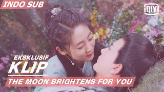 Pasangan terbaik di video Yumenglong x Xingfei  The Moon Brightens for You  iQIYI Indonesia