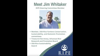 Meet RIPEs ProducerLeaders Jim Whitaker RIPE Steering Committee Member and Arkansas Rice Farmer