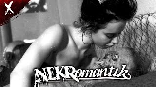 Nekromantik 1987  Disturbing Breakdown and Review