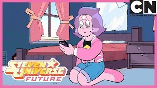 Steven Organises a Geminar  A Very Special Episode  Steven Universe Future  Cartoon Network